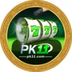 PK11 Game