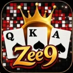 ZEE9 Game